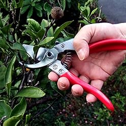 Alternative view of ARS HP-VS8Z Signature Heavy Duty Pruner
