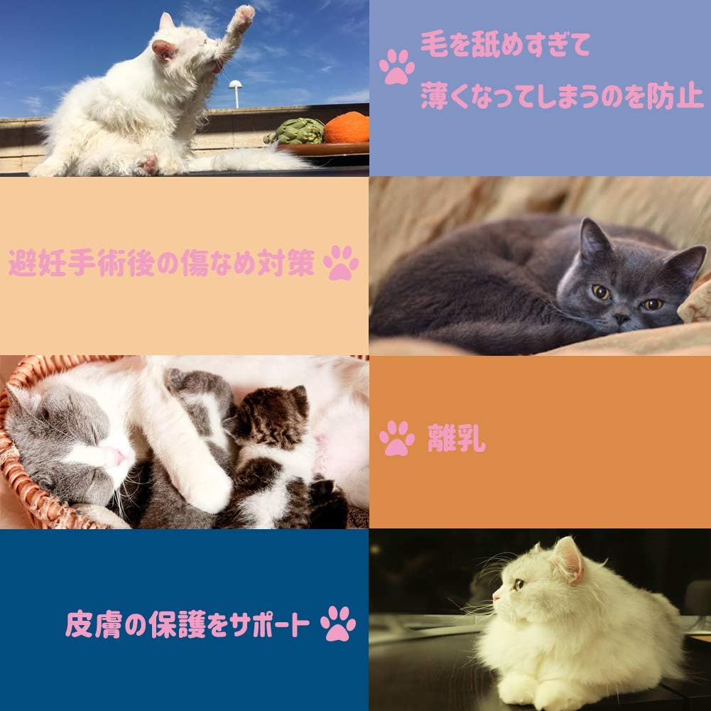 Amazon Kuveela Pet 猫 術後服 術後ウェア 小型犬 保護服 服 術後カバー服 雌 避妊 離乳 傷口保護 皮膚病 通気 ｌ 花とうさぎ Kuveela ペット用品 通販