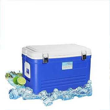 LFTS Refrigerador 33L fácil de Transportar. La Cerveza ...