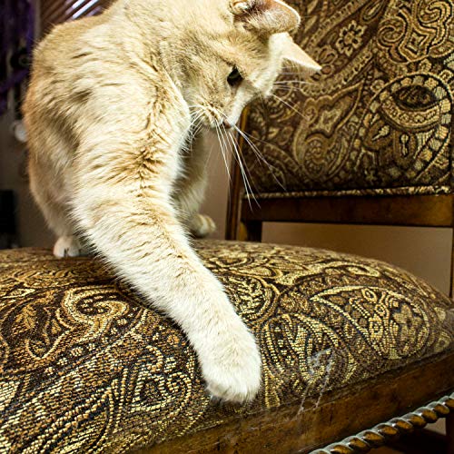 Cat Scratch Deterrent Tape Clear Double Sided Tape Couch Protector