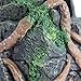 Penn-Plax Deco-Replicas Cambodian Rock Face Aquarium Ornament – Safe for Freshwater and Saltwater Tanks – 5.5” Height (RR965)