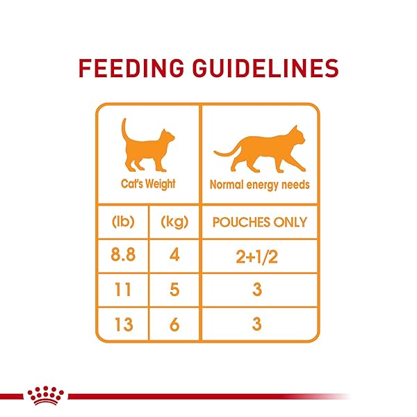 ROYAL CANIN FELINE CARE NUTRITION HAIR & SKIN CARE ADULT CHUNKS IN GRAVY CAT FOOD, 3 OZ