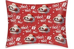 CEMFYZOCH Christmas Satin Pillowcase for Hair and Skin Santa Claus Soft Silk Pillow Case with Envelope Closure Cooling Pillow Cases Slip Standard Size Pillow Cover for Kids Boys Girls 20x26 Decorate