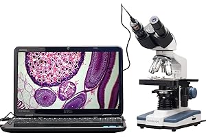AmScope B120C-E1 Siedentopf Binocular Compound Microscope, 40X-2500X Magnification, LED Illumination, Abbe Condenser, Two-Lay
