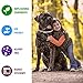 Pet Collar Pest Control Collars with Essential Oil Prevention for Dogs and Puppies with Natural Extracts 8 Month Protection Dog Treatment 25 inches One Size Fits All