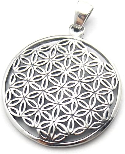 Amazon Co Jp フラワーオブライフ Flower Of Life 神幾何学 生命の花 ペンダントトップ シルバー９２５ ジュエリー
