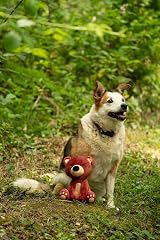 Petface Bruno Baby Bear Plush Dog Toy Medium with Squeaker view 2