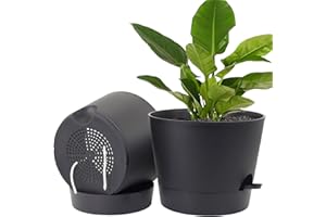 UOUZ Pots for Indoor Plants,12 inch 2 Pack Large Self Watering Plant Pots with Drainage Holes Plastic Flower Pots with Deep Reservoir, Black