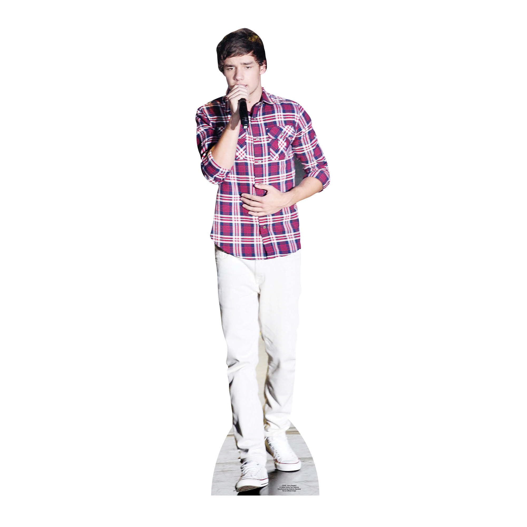 Star Cutouts Cut Out of Liam Payne 1 Direction — image 1