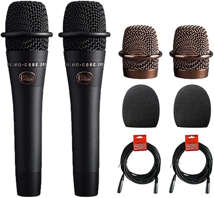 blue microphones encore 200