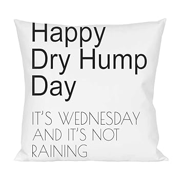 Happy Dry Hump Day Funny Slogan Pillow Amazon Co Uk Kitchen Home