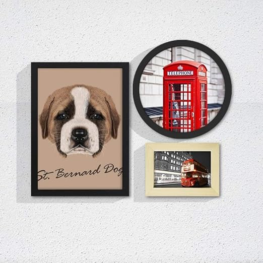 red st bernard