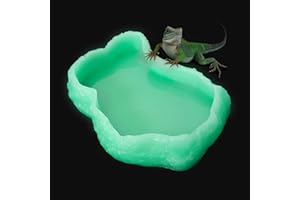 AZV Mini Reptile Food Water Rock Bowls,Luminous Amphibian Feeding Dish,Resin Rock Worm Feeder Terrarium for Lizards,Chameleon,Leopard Gecko,Frog,Bearded Dragons,Snake,Hermit Crabs,Turtle Spider Pet