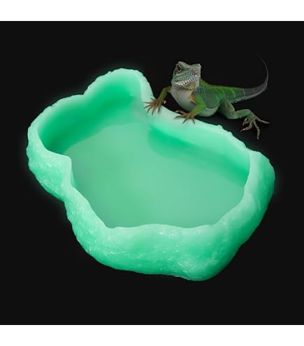 Zoo Med Glo-Bowl Futternapf – Leuchtet Im Dunkeln, Aus Recyceltem Plastik, Größe Medium