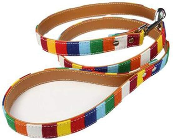 colorful dog leashes
