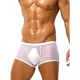 PAIZH Mens Sexy See Through Boxer Briefs Ice Silk Trunks Underwear Ultra Thin Soft Sheer Bulge Pouch Boxer Shorts