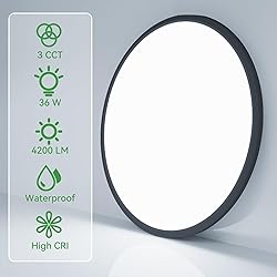 hepside 15.8INCH 2Pack Big Dimmable Flush Mount