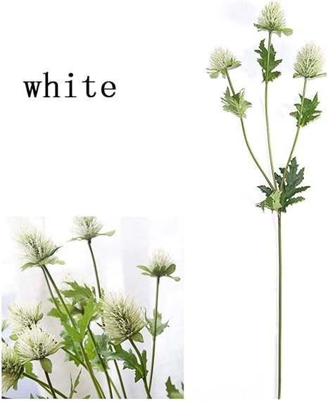 Amazon Lewis Pitman 60cm 3フォーク セロリ造花 造花 タンポポのアザミの花 ウェディング ホームデコレーション One Size ホワイト Sb 122 造花 オンライン通販