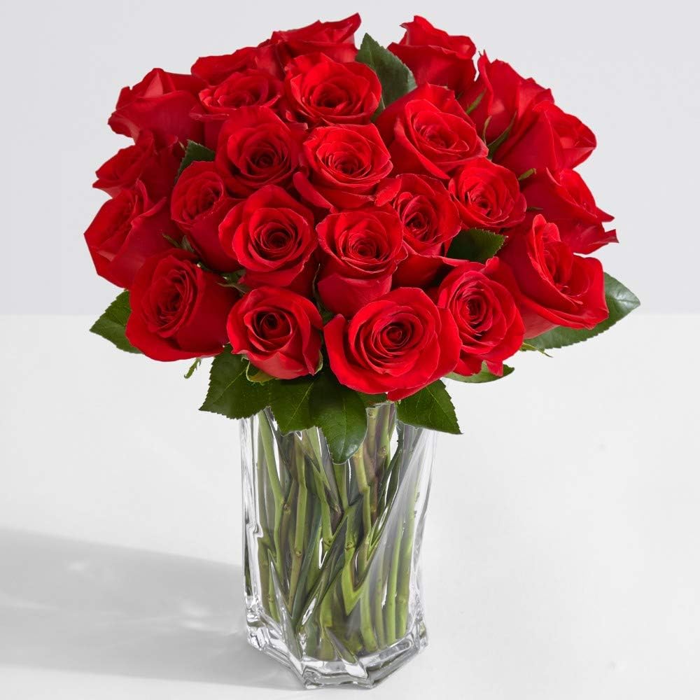 ProFlowers - Red Roses Two Dozen Red Roses w/Free Clear Vase - Flowers