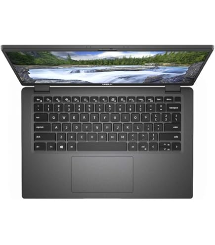 Amazon.com: Dell 14