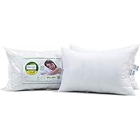 Recron Certified Dream Fibre Pillow (16"x24")
