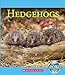 Hedgehogs (Nature's Children)