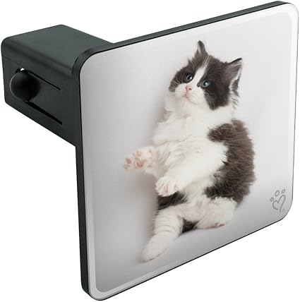 Amazonfr Graphique Et Plus Persan Chaton Chat Noir Blanc