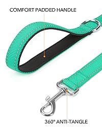 Taglory Dog Leash for Medium Large