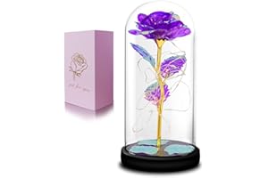 QUELIEN Birthday Gift for Women,Rose Flower Gifts for her,Artificial Flower Lasts in A Glass Dome, Unique Gifts is for Mothers Day,Christmas,Anniversary,Valentine's Day (Purple)