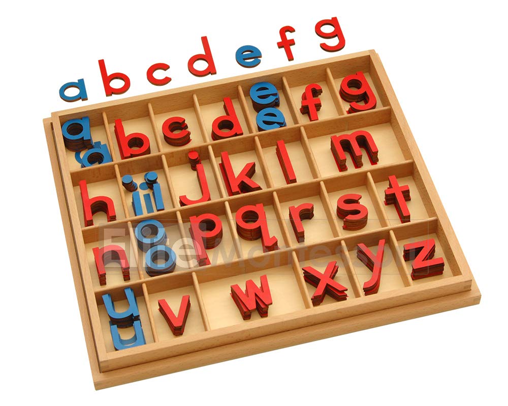 Elite Montessori Wooden Movable Alphabet with Box Preschool Spelling Learning Materials (Red & Blue, 5mm Thick)