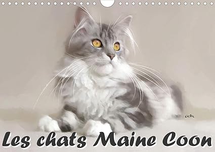 Les Chats Maine Coon Calendrier Mural 2021 Din A4 Horizontal Amazon Fr Sudpastel K A Livres