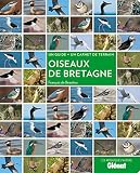 Oiseaux de Bretagne : Un guide + un carnet de terrain by 