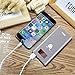 ElfAnt Metal Shell Portable Power Bank,Dual USB Ports External Battery Charger,Screen Digital with Display,LED Light for iPhone,Samsung Galaxy and More (gray)
