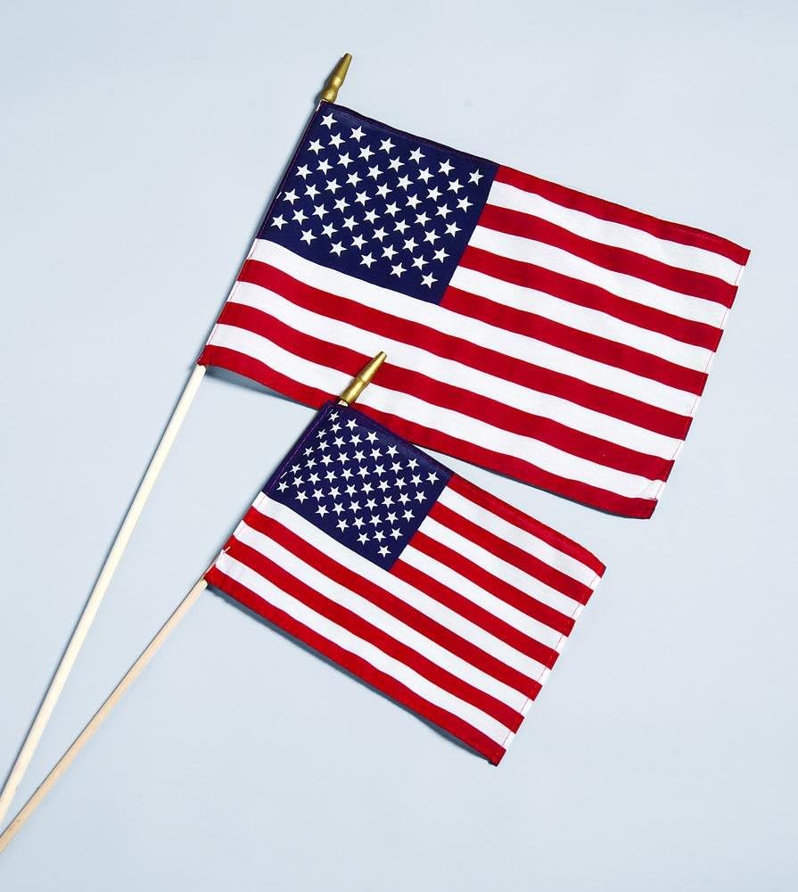 Allied Flag 1 (Single) 12" x 18" American Stick Flag w/Spear Cotton Hemmed U.S