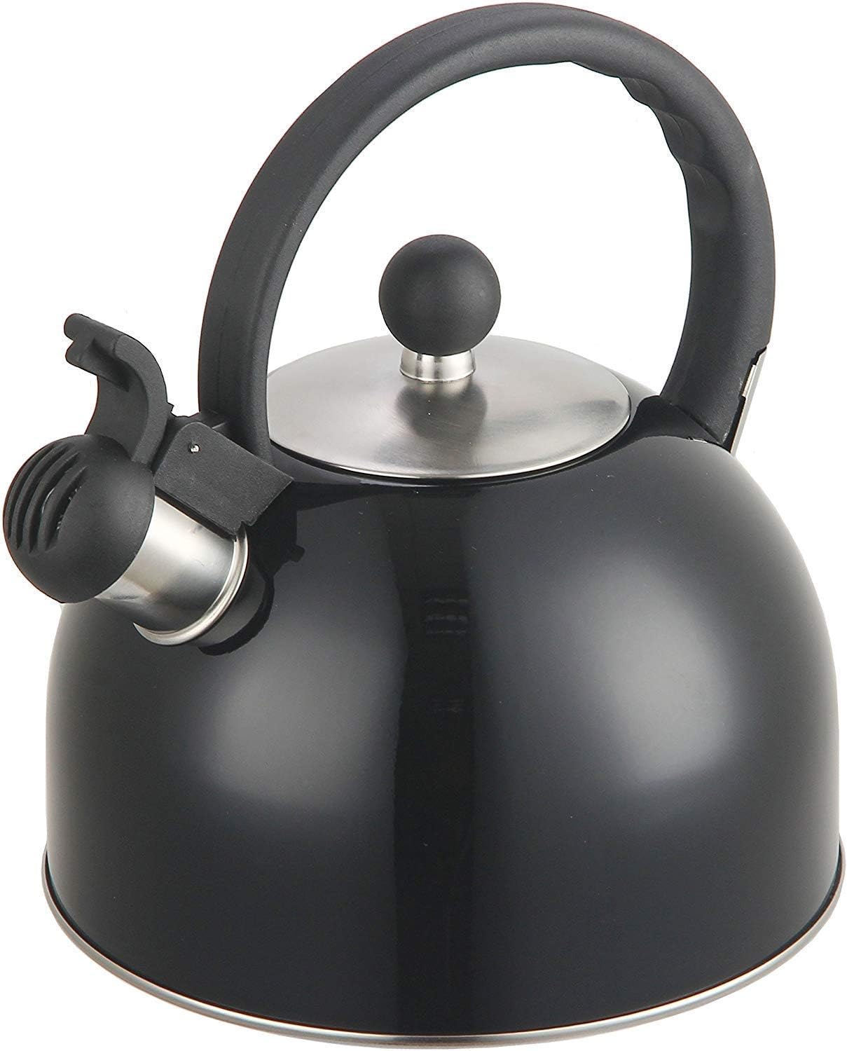 Top 5 Best Tea Kettles for Glass Top Stoves (2021 Review) My Kitchen