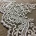Bridal Veil Lace Trim Gorgeous Elegant Alencon Embroidered Corded Sequined Mesh, 8