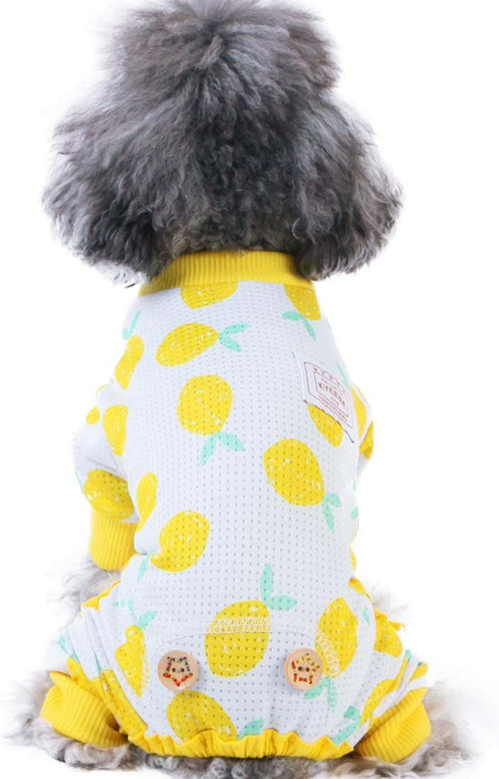 puppy dog pajamas