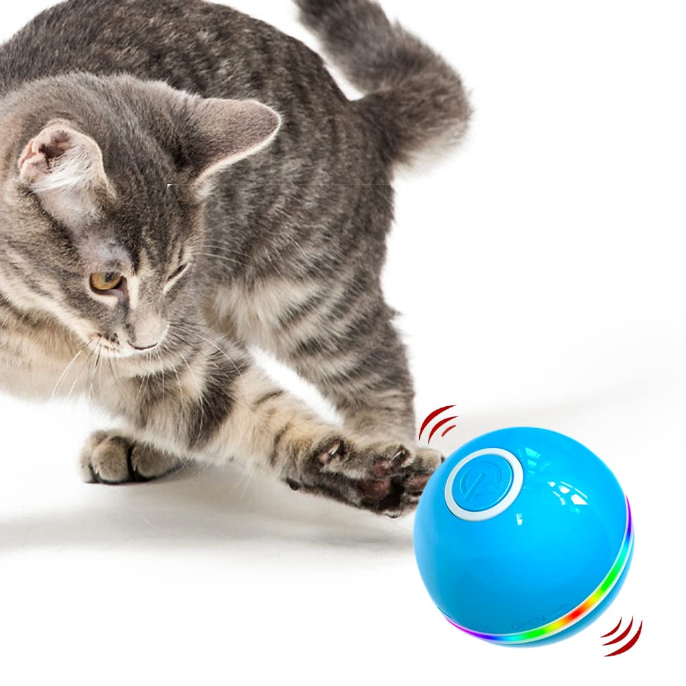 Cool Paws Premium Interactive Cat Toys Ball – Fun & Interactive Cat Toys for Indoor Cats | 360° Self-Rotating Ball with LED Light for Cats to Stimulate Hunting Instinct | USB Rechargeable Toy in Blue