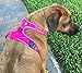 Chai's Choice Dog Harness Vest Medium (Fuchsia) | Comfortable & Secure with Adjustable Strap Soft Padded Dog Vest | No-Choke & Easy Control Pet Oxford | 3M Reflective Stripes for Dog Visibility