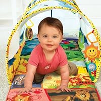 baby einstein tunnel