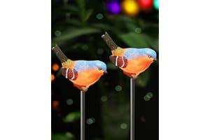 Bright Zeal Set of 2 LED Solar Stake Lights Color Changing Bird Figurines - Outdoor Multi Color Solar Birds Yard Lights Waterproof Colorful Garden Decor - Solar Patio Lights Multicolor Changing