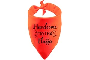BLUPARK Funny Dog Bandana Handsome Motha Fluffa Pets Accessories for Dogs Pretty Dog Scarf(Handsome Motha Fluffa)
