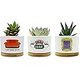 Elysraki Friends TV Show Merchandise Gifts, 3 Pack Ceramic Succulent Pots, Vintage Style Patterns, 3.15 inch Succulent Planter Pots with Drainage Hole and Bamboo Saucer for Home Decor