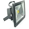 QUANS 30W Watt Warm White 12V 24V AC DC Ultra Bright LED Security Wash Flood light Floodlight Lamp High Power Black Case Waterproof IP65 Work in the Rain Superbright 3000K, 12-24V INPUT Low Voltage