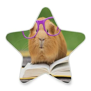 guinea pig lamp
