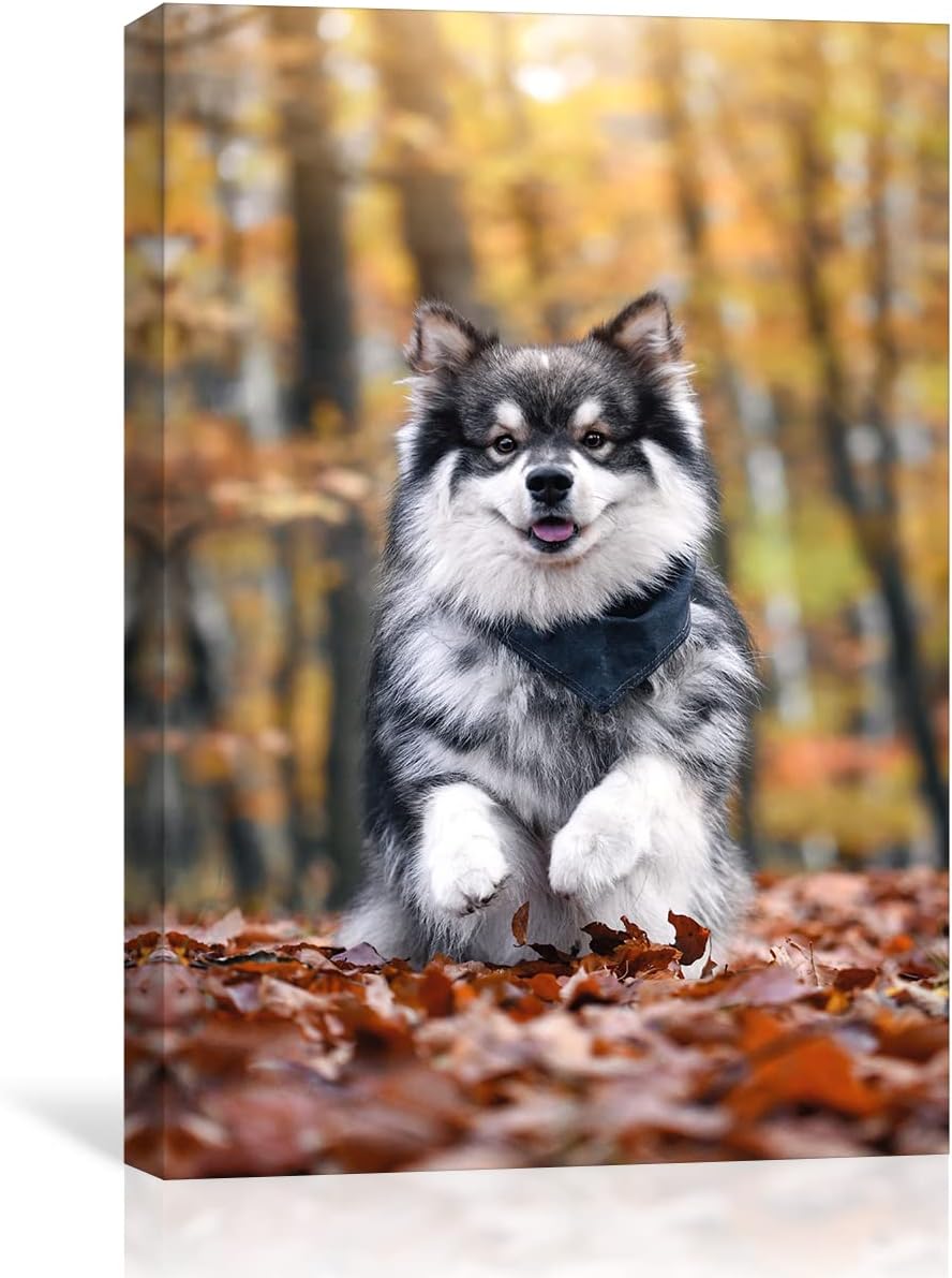 Wall Décor - Custom Canvas Prints With Your Photos,Personalized Pictures On Canvas Wall Art for Bedroom, Living Room, Wedding Baby Pet Family Picture Framed Wall Art (5