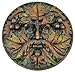 Greenman Plaque-Fall - Collectible Figurine Statue Sculpture Figure
