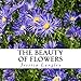 The Beauty of Flowers: A text-free book for Seniors and Alzheimer's patients by Jessica Langley