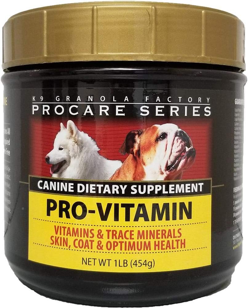 guinea pig black white