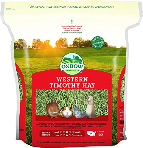 Oxbow Animal Health Western Timothy Hay for Pets, 90-Ounce